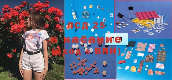 гашик Белоозёрский