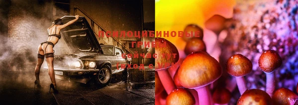 гашик Белоозёрский