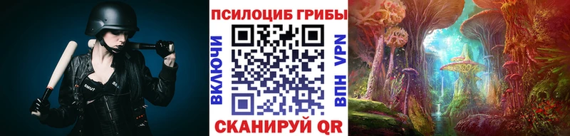 купить   Гремячинск  OMG сайт  darknet Telegram  Галлюциногенные грибы Psilocybine cubensis 